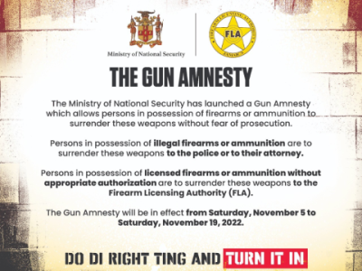 firearm